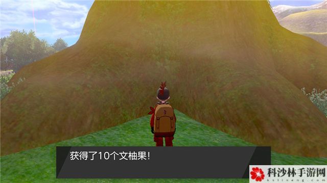 口袋妖怪剑盾DLC冠之雪原神兽收集攻略，第二弹DLC冠之雪原全神兽收集汇总[视频][多图]图片29