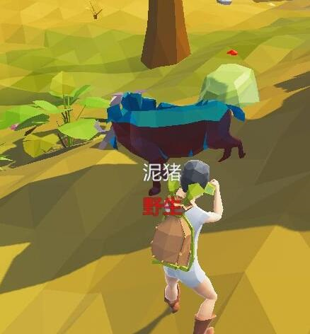 艾兰岛出生岛有哪些动物 动物位置分享