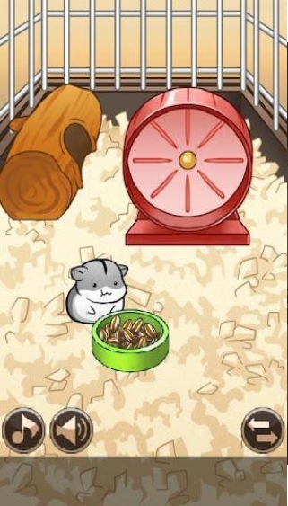 小仓鼠的生活v6.26-小仓鼠的生活是一款轻松解压的休闲益智类游戏