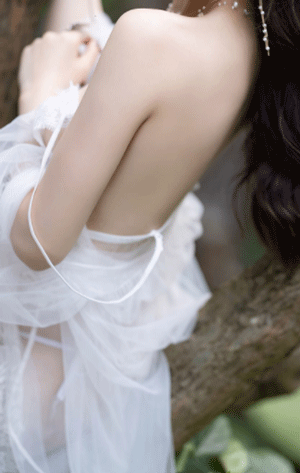 三叶草gw4334下载-三叶草gw4334手游免费下载安装