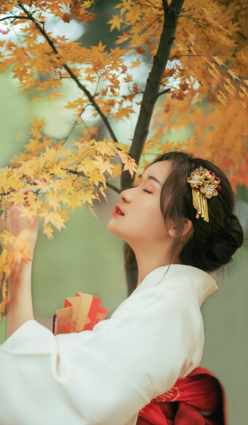 激战2野外下载-激战2野外手游免费下载安装