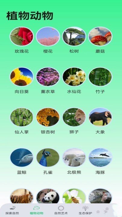 绿野乐园app最新版下载-绿野乐园app官方版v1.0.0