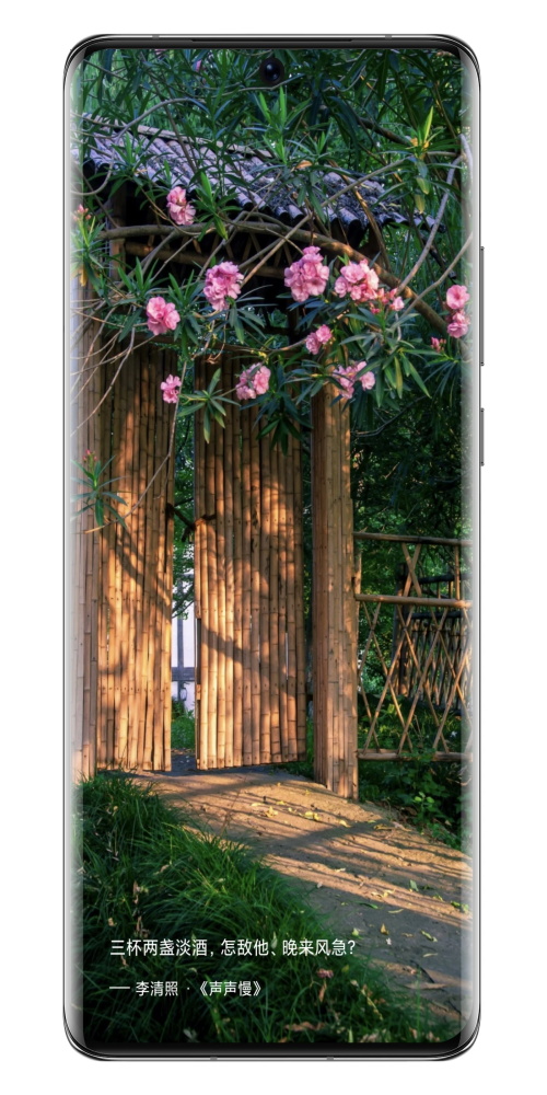 西窗烛古诗词软件免费下载-西窗烛古诗词软件官方版v6.5.0