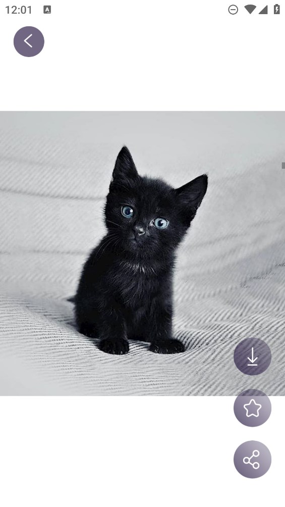 潮流头像社app下载-潮流头像社官网版v1.1