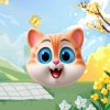 收纳小猫游戏