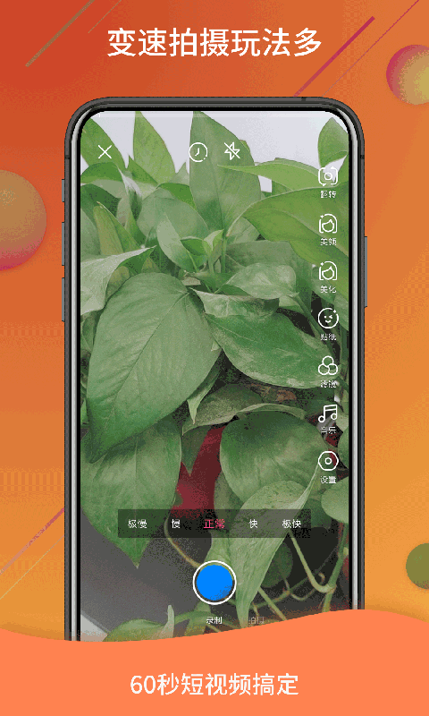 视频号制作精灵手机版下载-视频号制作精灵app下载最新版 1.1.5