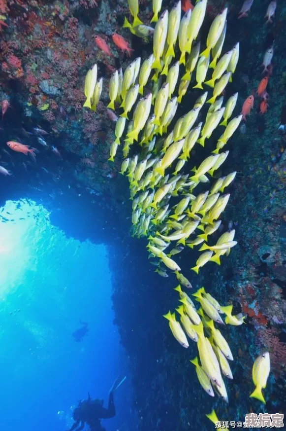 色天堂下载：提供丰富多彩的成人内容资源，满足用户对视觉享受和娱乐需求的平台