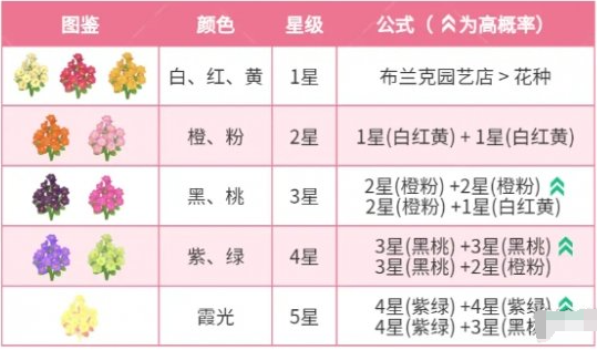 心动小镇迎春花杂交配方有哪些