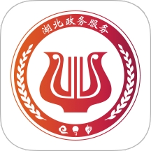 湖北省鄂汇办app下载