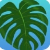 植物疗愈纽约时光游戏下载