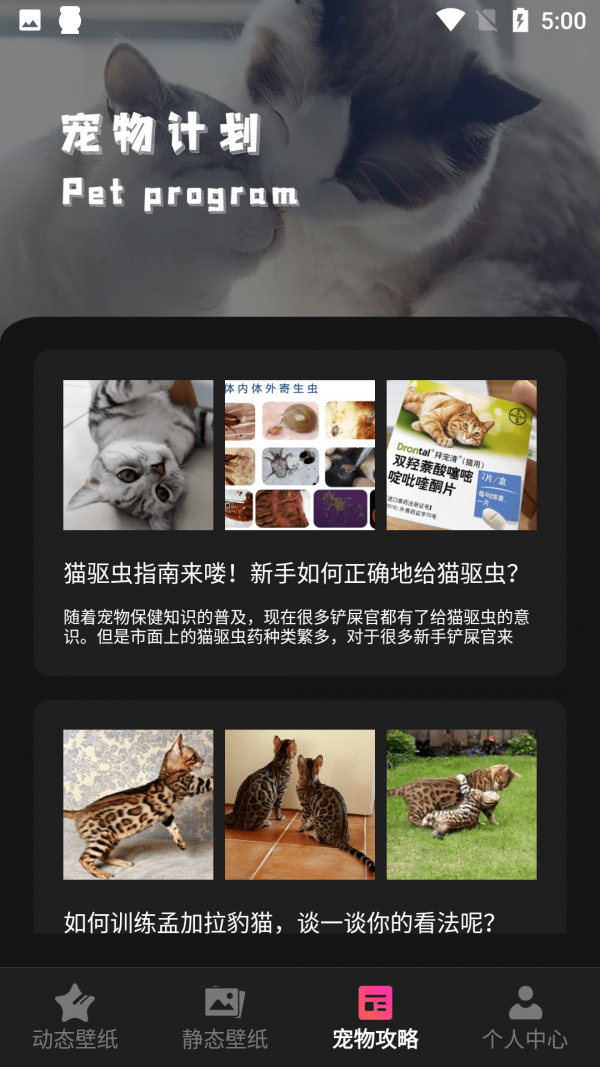 小猫壁纸手机版下载-小猫壁纸软件下载 1.0