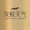 灰鲸天气app官方版下载