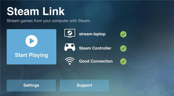 steam  link