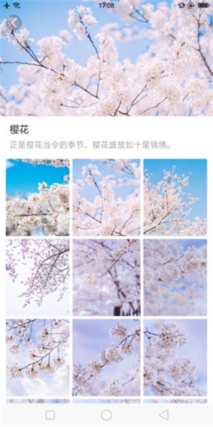 大脚壁纸下载安装-大脚壁纸app官网下载 1.2.0