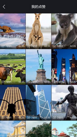 泡泡视频软件免费下载-泡泡视频app下载 1.0.0