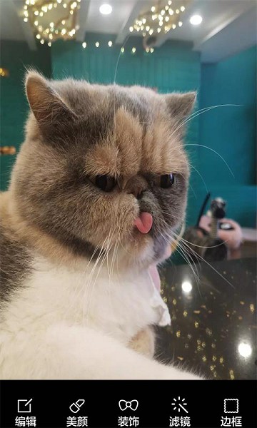 酷我表情照相机app下载安装最新版-酷我表情照相机手机app官方下载 8081.21.7.2