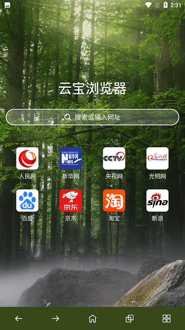 云宝浏览器app下载安装-云宝浏览器最新版本下载 1.0.0.0