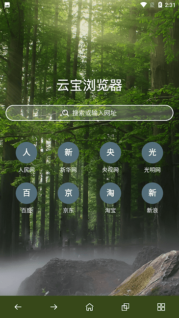 云宝浏览器app下载安装-云宝浏览器最新版本下载 1.0.0.0