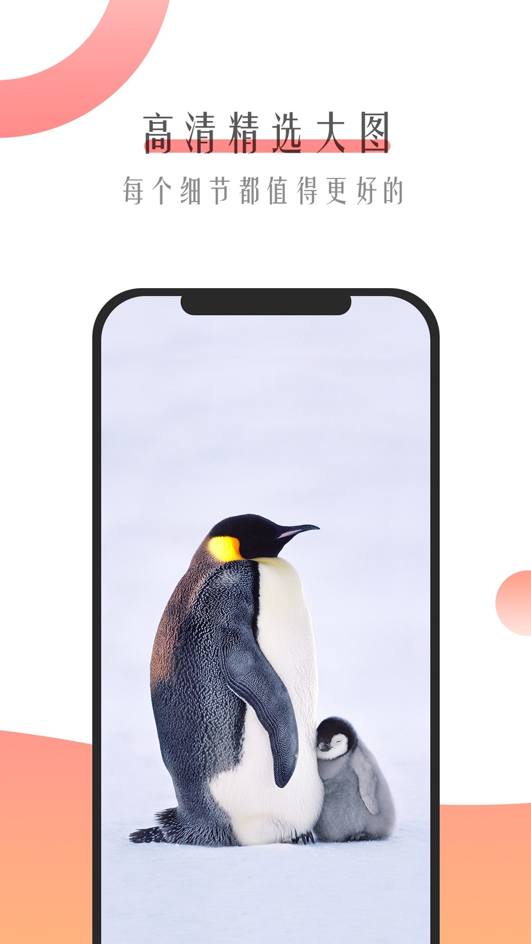 米柚壁纸app下载-米柚壁纸最新版下载 1.0.3