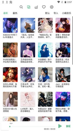 洛雪音乐最新版-洛雪音乐最新版下载v1.1.0