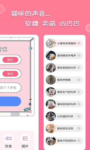 人猫翻译交流器app下载-人猫翻译交流器手机版