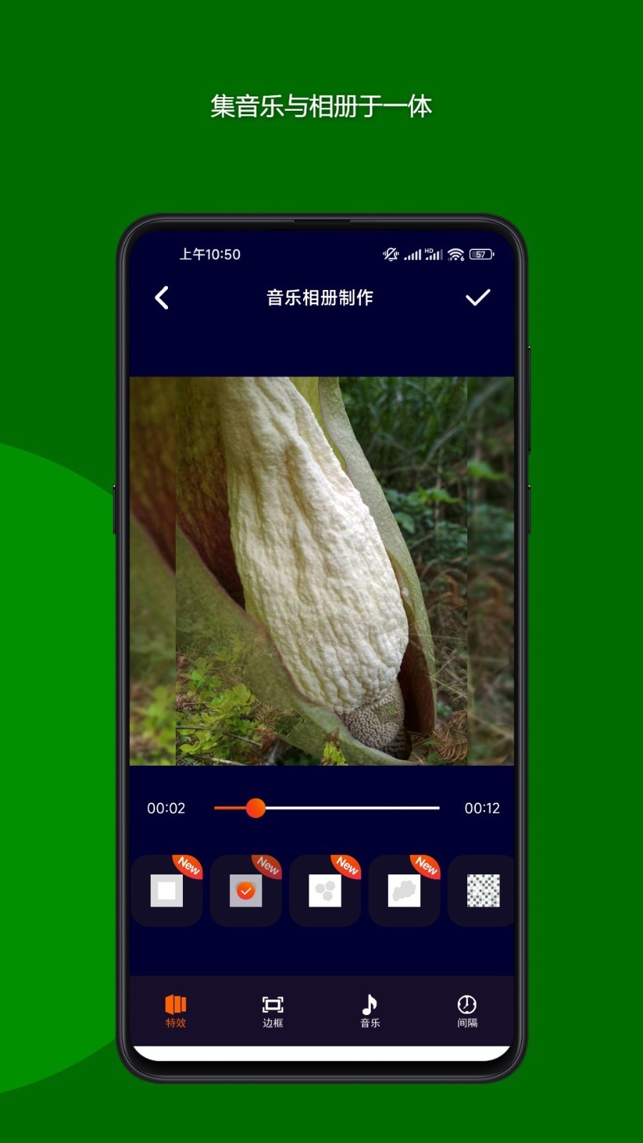 魔法音乐相册手机版下载-魔法音乐相册app下载最新版 23.08.29