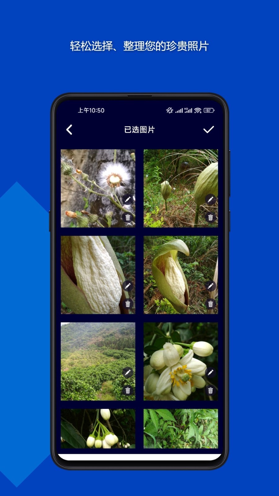 魔法音乐相册手机版下载-魔法音乐相册app下载最新版 23.08.29