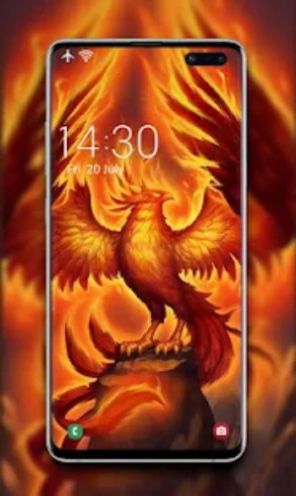 凤凰壁纸软件免费下载-凤凰壁纸app下载 2.4