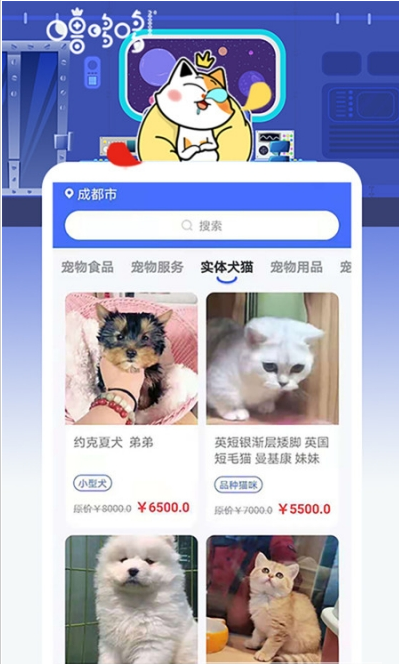 噜哆哆宠物app下载最新版-噜哆哆宠物官方app手机版下载安装 1.0