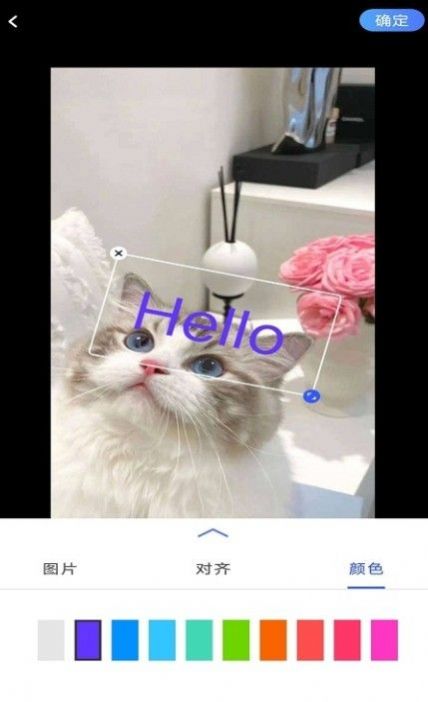 小猪翻译视频app下载-小猪翻译视频最新版下载 1.0.1