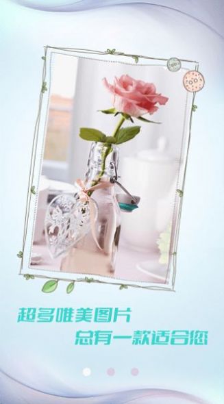 小猪壁纸大全app下载安装到手机-小猪壁纸大全官网app最新版 1.0.1