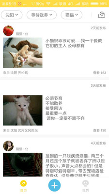 宠物领养app下载免费版-宠物领养最新版下载 1.1.26