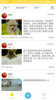 宠物领养app下载免费版-宠物领养最新版下载 1.1.26