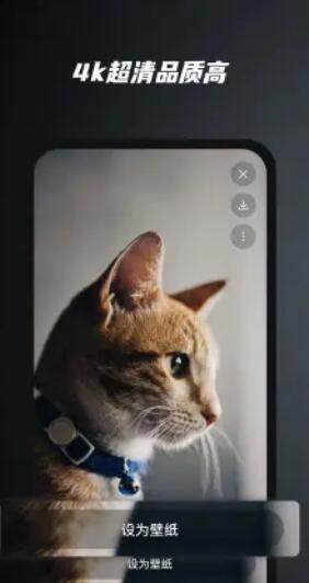 余香壁纸手机版下载-余香壁纸app下载最新版 1.0