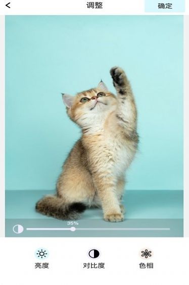 青橘美化最新版2022官方下载-青橘美化官网app最新版下载 1.0.0