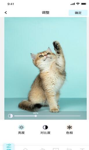 青橘美化最新版2022官方下载-青橘美化官网app最新版下载 1.0.0