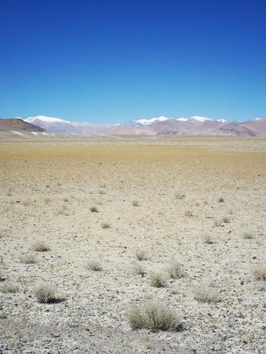 精品无人区一区二区三区