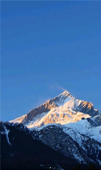 很赞学习app官网下载安装-很赞学习最新版下载 4.10.2