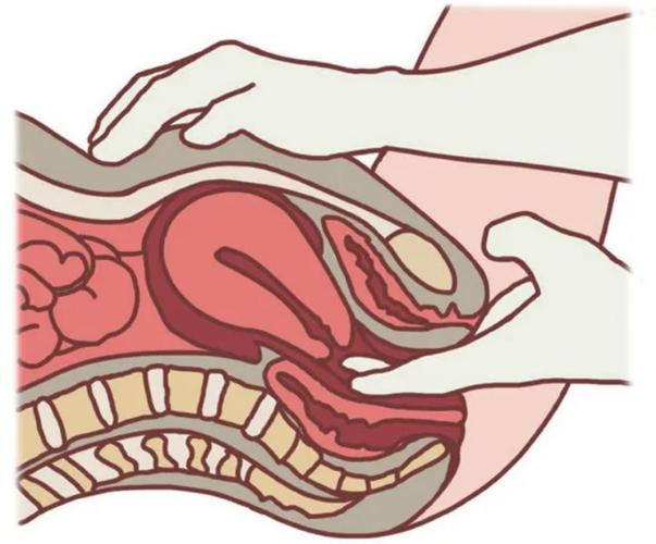 它变大了，你感觉到了吗？ 阴道内阴径越来越大的感觉是什么？,网友：给你更多选择!