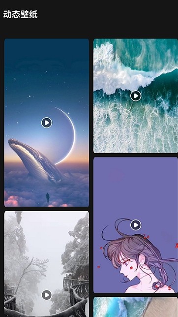 lr壁纸大全app下载官方版-lr壁纸大全app下载 1.1