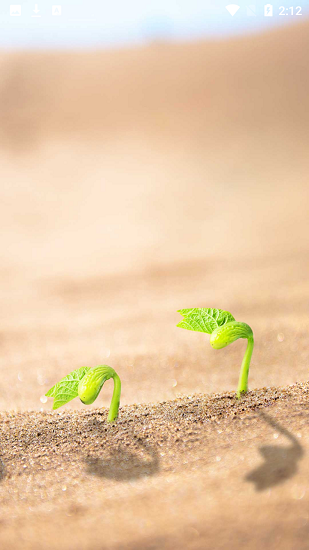 美芽Life最新版下载-美芽Lifeapp下载 1.0.1