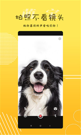 萌宝相机手机版下载-萌宝相机app下载最新版 1.0.2.1