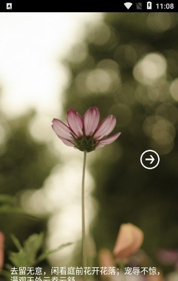 蔷薇书院app下载-蔷薇书院最新版下载 2.0.0