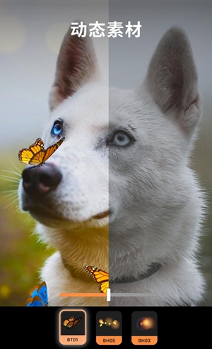 motionleap安卓和谐版app下载安装-motionleap安卓和谐版最新版本下载 3.0