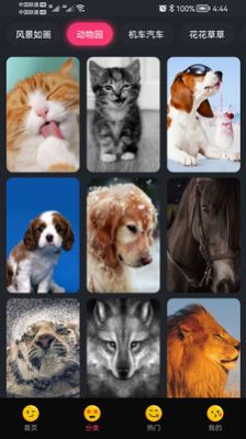 轻甜心app下载安装到手机-轻甜心官网app最新版 1.0.3