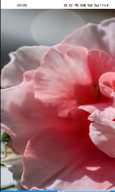 有声壁纸手机版下载-有声壁纸app下载最新版 1.0.0