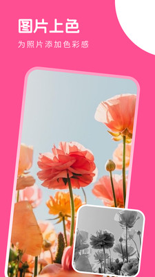 萌喵相机手机版官网下载安装-萌喵相机手机app最新版下载 V1.0.0