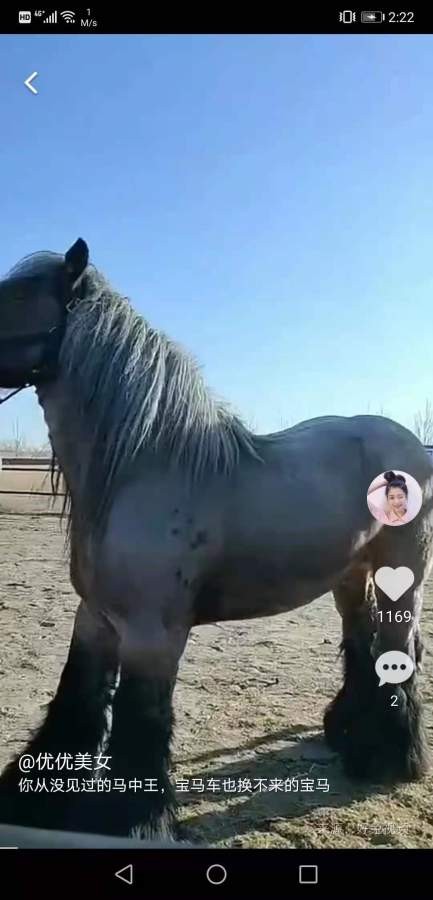 红小狗视频2024app下载最新版-红小狗视频2024官方app手机版下载安装 1.0.0.2