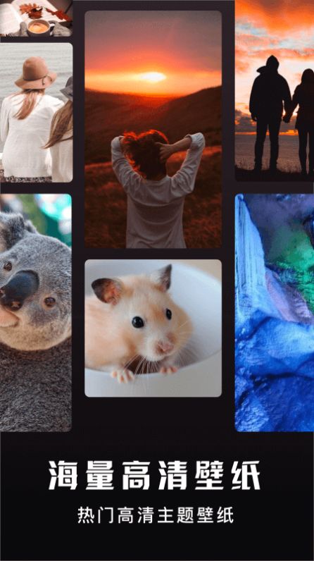 手机主题壁纸秀手机版官网下载安装-手机主题壁纸秀手机app最新版下载 1.1