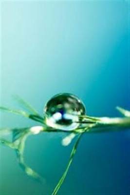 雨滴壁纸最新版2022官方下载-雨滴壁纸官网app最新版下载 99999